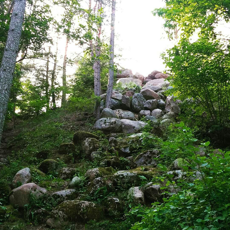 drugaja Belarus' (13)