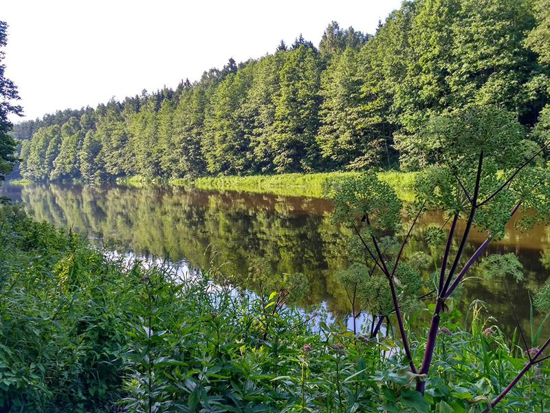 drugaja Belarus' (9)