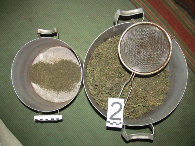 000024_BA436D1F641A3DFD4325817D0025B990_763181