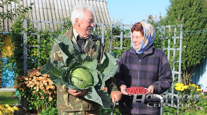 dachniki Habrovy (1)_