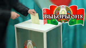 vybory v mestnye Sovety deputatov