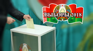 vybory v mestnye Sovety deputatov_