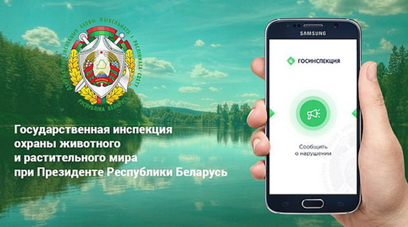 приложение госинспекции