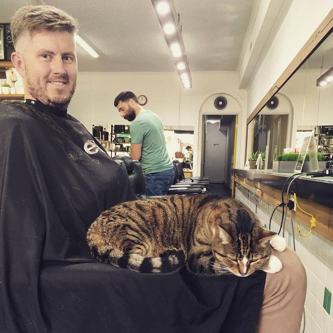 Кошка Бетти Бу уже несколько лет работает в парикмахерской, приводя в восторг клиентов