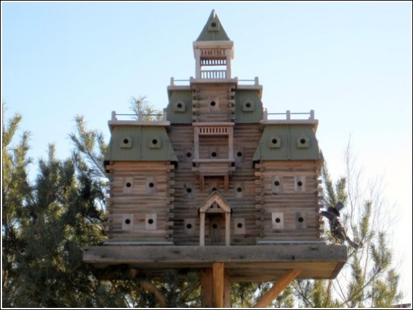 birdhouse-5