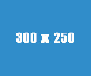 300на250