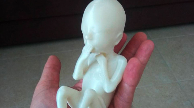 3D модель ребенка