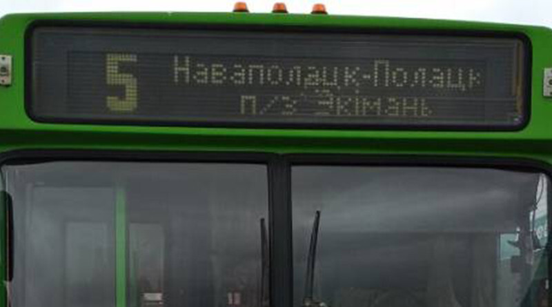 автобус 5 -800x445