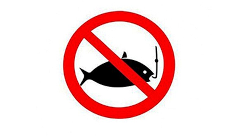 запрет на лов рыбы