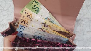 Базовая ставка для оплаты труда в бюджетной сфере повышается в Беларуси