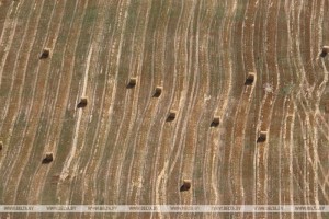 В Беларуси намолотили более 9,7 млн тонн зерна