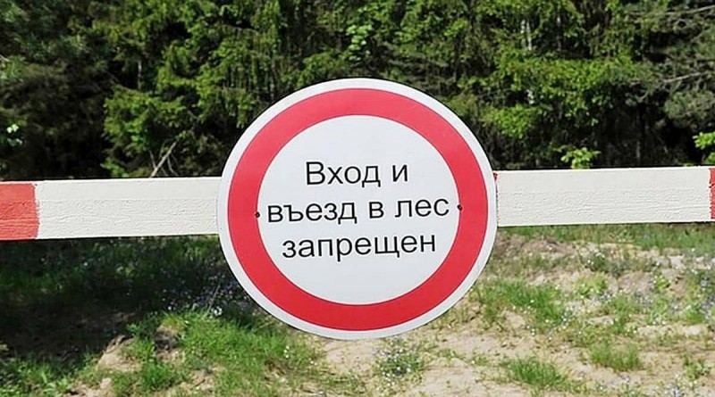 посещение леса запрещено