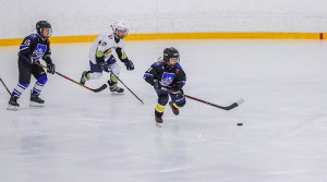 Факультатив по хоккею появится в белорусских школах