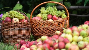 Сегодня православные христиане отмечают Преображение Господне