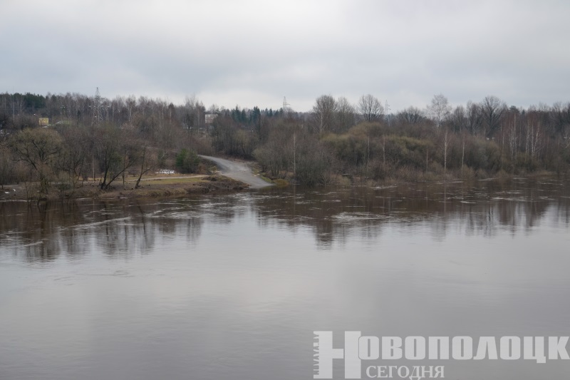 Уровень воды в западной двине. Река Даугава. Уровень воды в реке Западная Двина Полоцк. Западная Двина паводок ушел. Как выглядит половодье.
