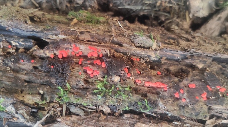 000022_1757316086_736069_big