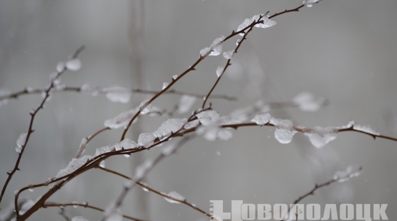 гололедица