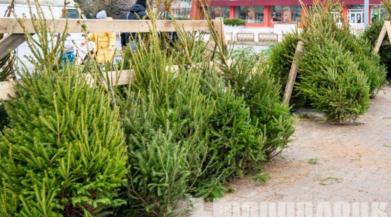 photo_2024-12-22_15-12-00