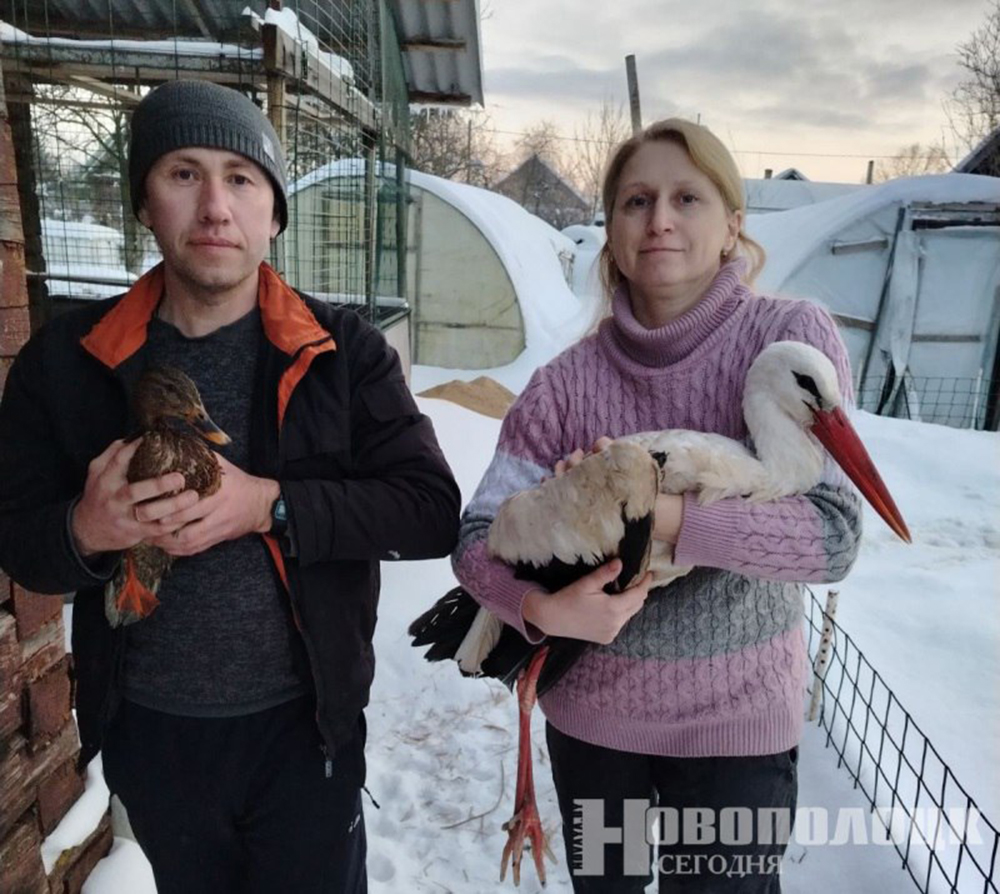 экология (3)