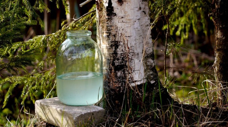 photo_2026-03-19_11-43-06