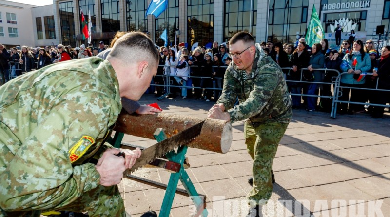 колка дров (17)