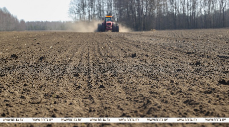 000019_1777276110_777536_big