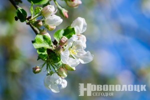 Что изменится в Беларуси с 1 мая