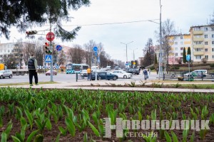 Когда в Беларуси потеплеет? Синоптики рассказали, что придет на смену ненастному циклону «Рапунцель»