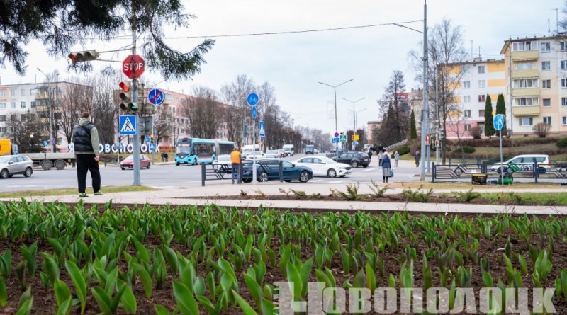 photo_2026-03-26_15-20-45