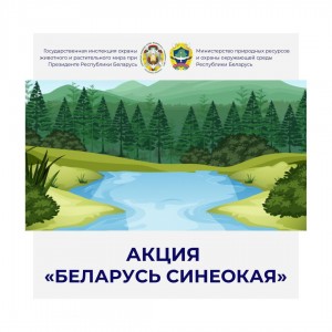 Республиканская акция «Беларусь синеокая» по наведению порядка у водоемов проходит в стране