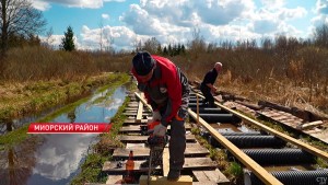 В Витебской области реконструируют ландшафтный заказник «Ельня»