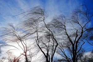 Заморозки и сильный ветер. МЧС предупреждает о неблагоприятных метеорологических явлениях в последние выходные апреля