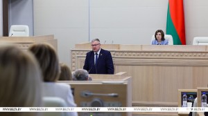 Игорь Брилевич избран заместителем председателя Совета Республики