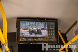 В Новополоцке стартовал уникальный экологический проект