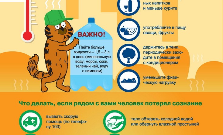 pravila-zhara-dlya-sayta