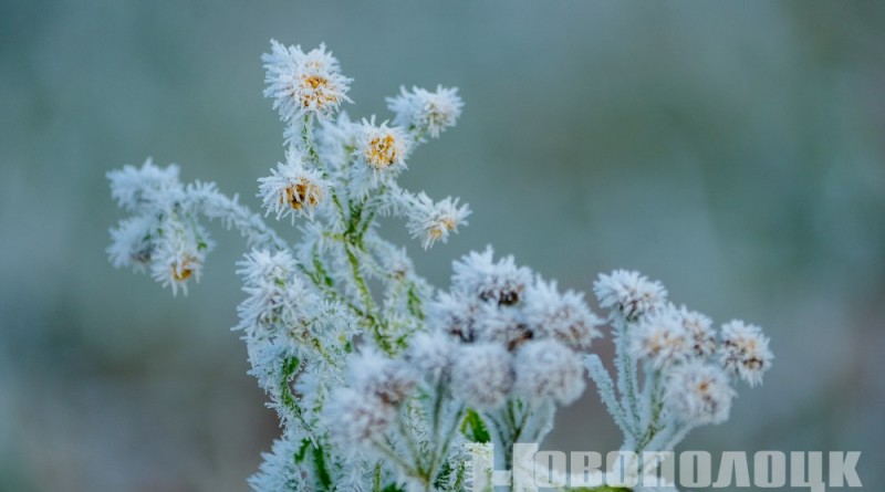 заморозки