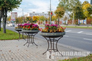 Благоустройство и арт-объекты: как преображается Новополоцк в преддверии зимы