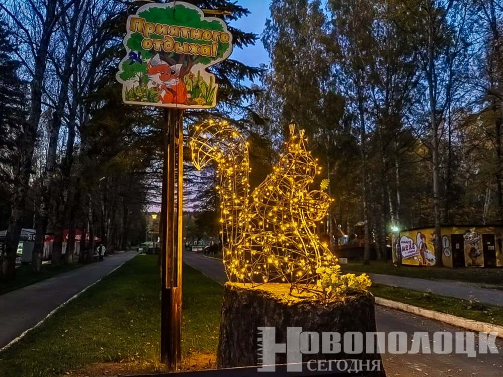 белка в парке