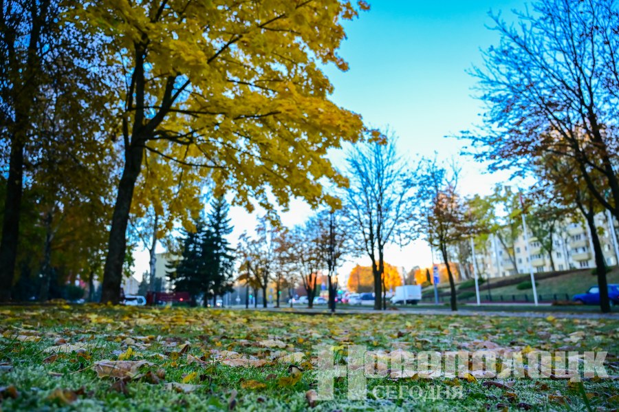 заморозки (1)
